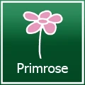Primrose促銷代碼 